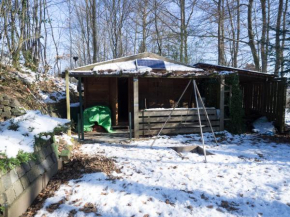 Waldhütte